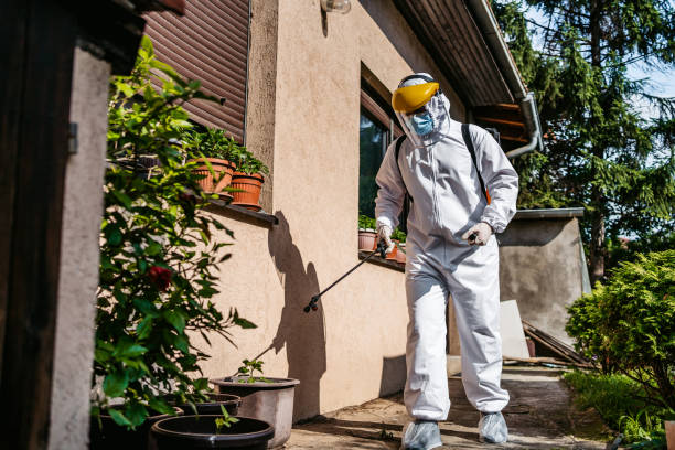 Best Residential Pest Control  in Sangaree, SC
