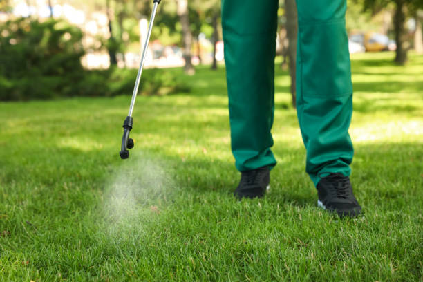 Trusted Sangaree, SC Pest Control Experts