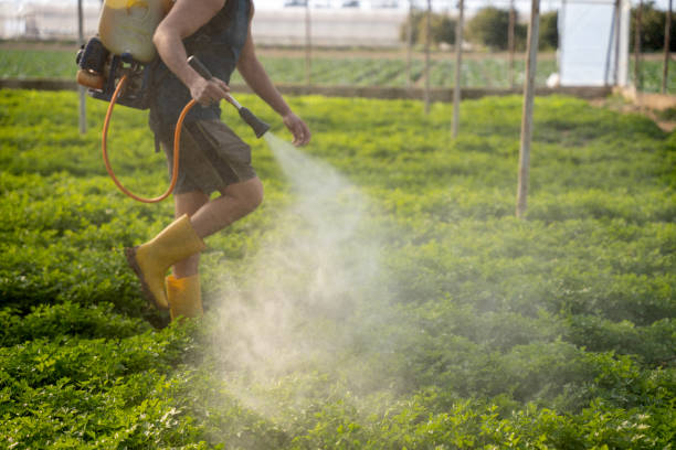 Best Pest Removal Services  in Sangaree, SC