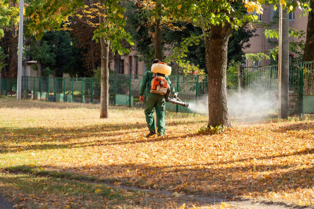 Best Mosquito Control Services  in Sangaree, SC