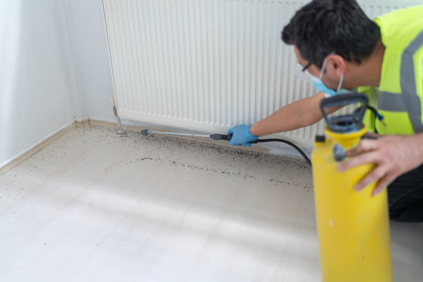 Best Termite Control Services  in Sangaree, SC